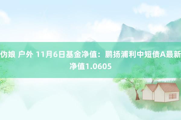 伪娘 户外 11月6日基金净值：鹏扬浦利中短债A最新净值1.0605