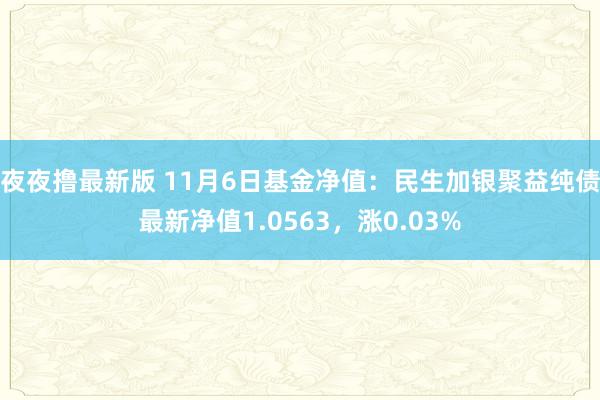 夜夜撸最新版 11月6日基金净值：民生加银聚益纯债最新净值1.0563，涨0.03%