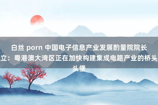 白丝 porn 中国电子信息产业发展酌量院院长张立：粤港澳大湾区正在加快构建集成电路产业的桥头堡