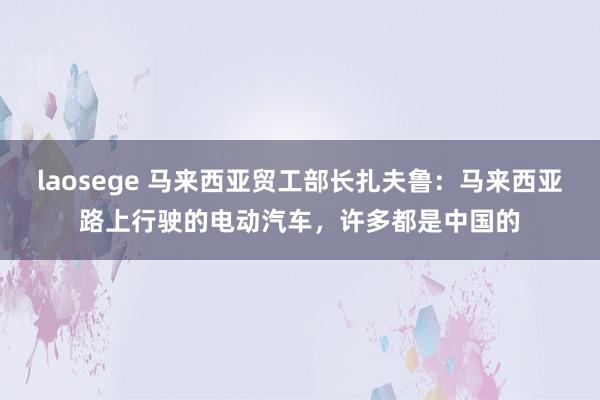 laosege 马来西亚贸工部长扎夫鲁：马来西亚路上行驶的电动汽车，许多都是中国的