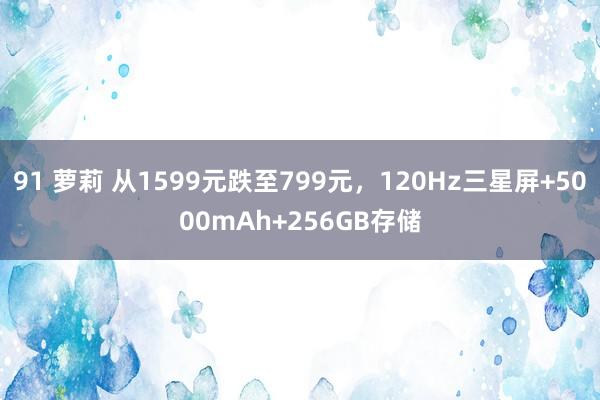 91 萝莉 从1599元跌至799元，120Hz三星屏+5000mAh+256GB存储