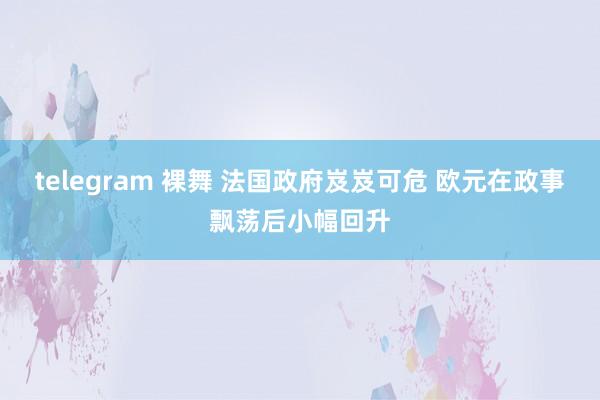 telegram 裸舞 法国政府岌岌可危 欧元在政事飘荡后小幅回升