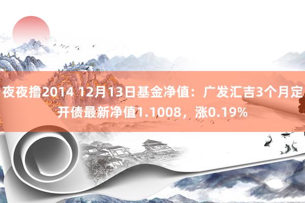 夜夜撸2014 12月13日基金净值：广发汇吉3个月定开债最新净值1.1008，涨0.19%