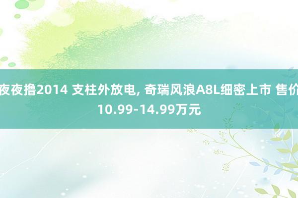 夜夜撸2014 支柱外放电， 奇瑞风浪A8L细密上市 售价10.99-14.99万元