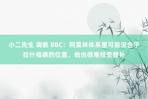 小二先生 调教 BBC：阿莫林体系里可能没合乎拉什福德的位置，他也很难经受替补