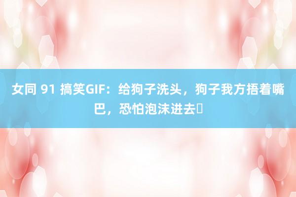 女同 91 搞笑GIF：给狗子洗头，狗子我方捂着嘴巴，恐怕泡沫进去​