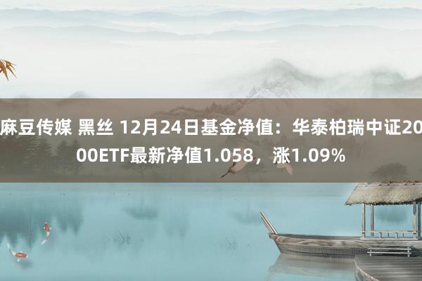 麻豆传媒 黑丝 12月24日基金净值：华泰柏瑞中证2000ETF最新净值1.058，涨1.09%