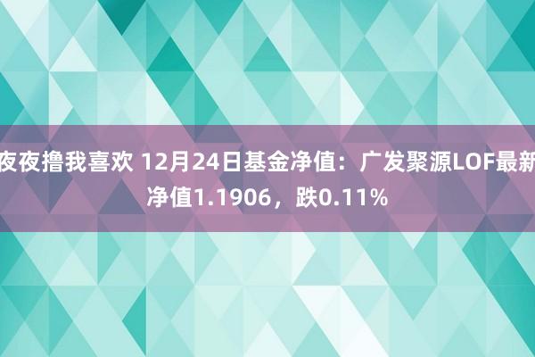 夜夜撸我喜欢 12月24日基金净值：广发聚源LOF最新净值1.1906，跌0.11%