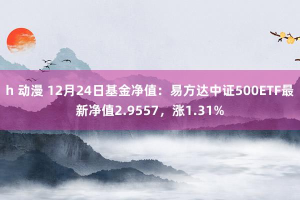 h 动漫 12月24日基金净值：易方达中证500ETF最新净值2.9557，涨1.31%