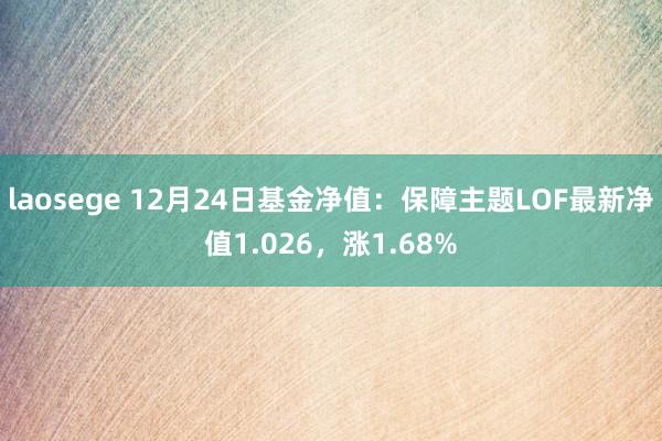 laosege 12月24日基金净值：保障主题LOF最新净值1.026，涨1.68%