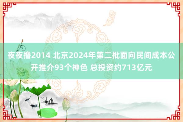 夜夜撸2014 北京2024年第二批面向民间成本公开推介93个神色 总投资约713亿元