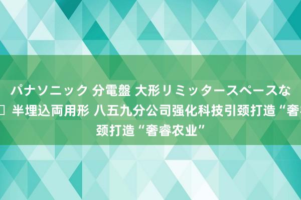 パナソニック 分電盤 大形リミッタースペースなし 露出・半埋込両用形 八五九分公司强化科技引颈打造“奢睿农业”