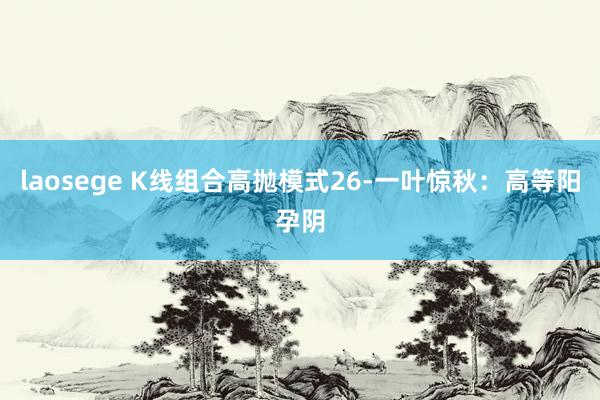 laosege K线组合高抛模式26-一叶惊秋：高等阳孕阴