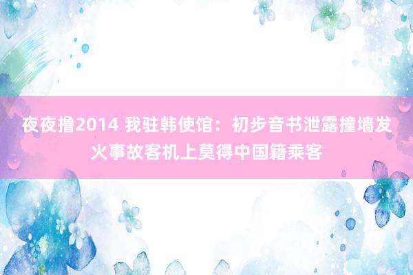 夜夜撸2014 我驻韩使馆：初步音书泄露撞墙发火事故客机上莫得中国籍乘客