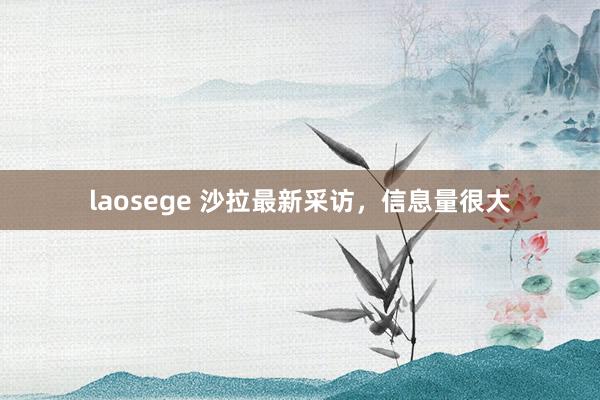 laosege 沙拉最新采访，信息量很大