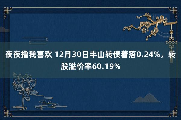 夜夜撸我喜欢 12月30日丰山转债着落0.24%，转股溢价率60.19%