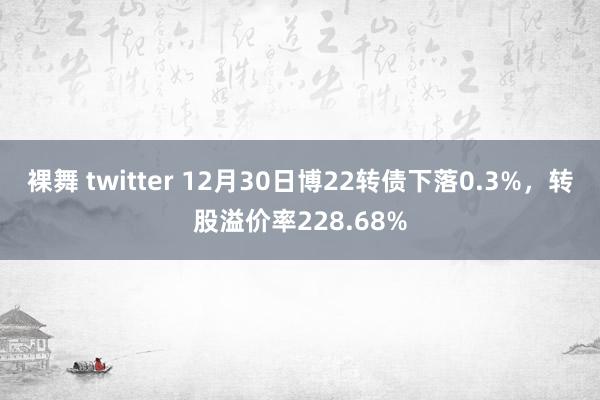 裸舞 twitter 12月30日博22转债下落0.3%，转股溢价率228.68%