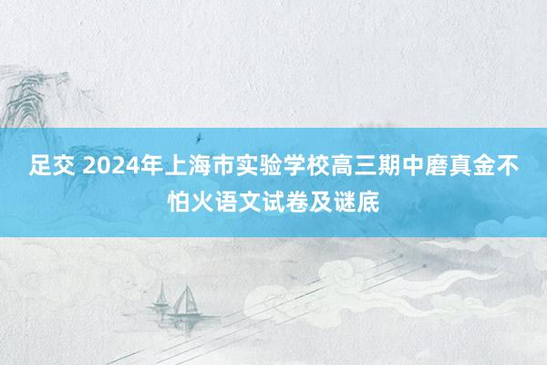 足交 2024年上海市实验学校高三期中磨真金不怕火语文试卷及谜底