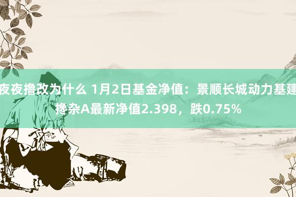 夜夜撸改为什么 1月2日基金净值：景顺长城动力基建搀杂A最新净值2.398，跌0.75%