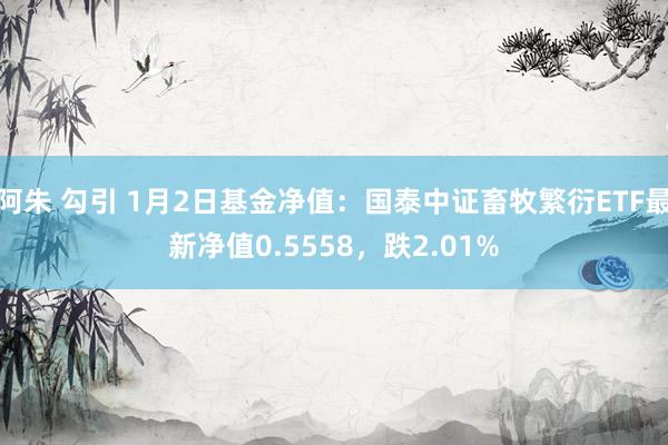 阿朱 勾引 1月2日基金净值：国泰中证畜牧繁衍ETF最新净值0.5558，跌2.01%