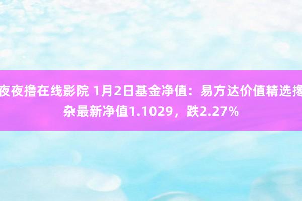 夜夜撸在线影院 1月2日基金净值：易方达价值精选搀杂最新净值1.1029，跌2.27%