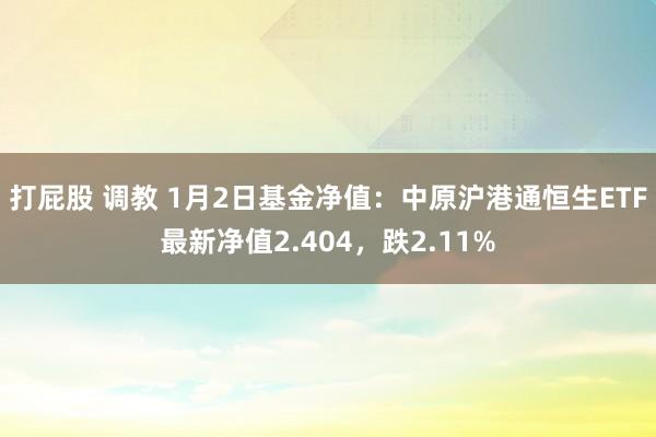 打屁股 调教 1月2日基金净值：中原沪港通恒生ETF最新净值2.404，跌2.11%