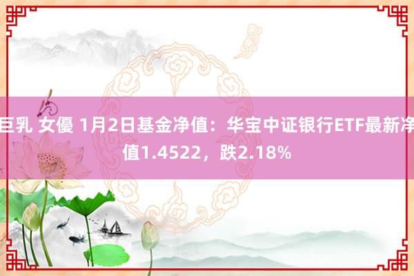 巨乳 女優 1月2日基金净值：华宝中证银行ETF最新净值1.4522，跌2.18%