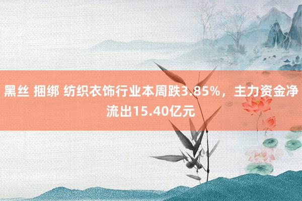 黑丝 捆绑 纺织衣饰行业本周跌3.85%，主力资金净流出15.40亿元