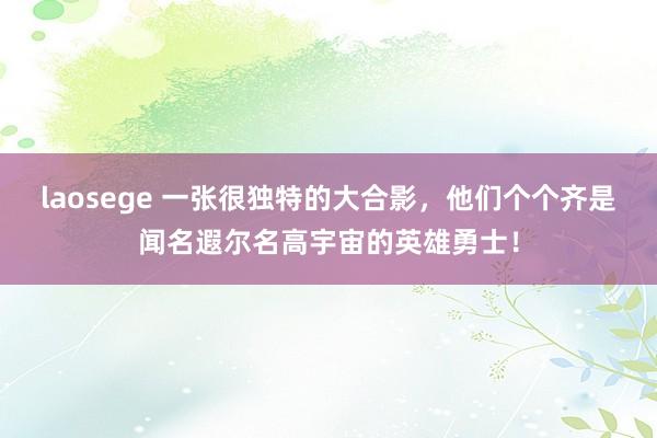 laosege 一张很独特的大合影，他们个个齐是闻名遐尔名高宇宙的英雄勇士！