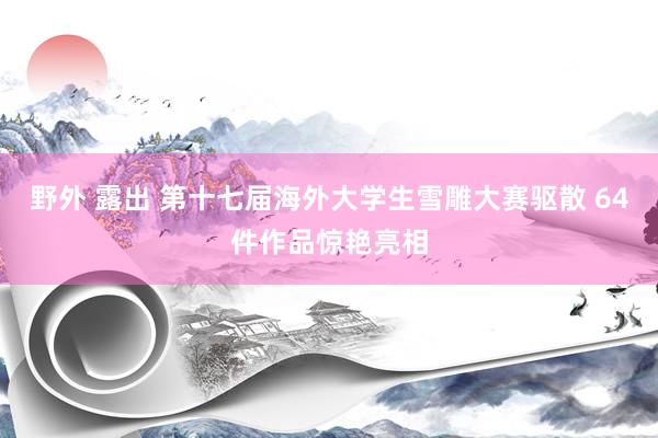 野外 露出 第十七届海外大学生雪雕大赛驱散 64件作品惊艳亮相