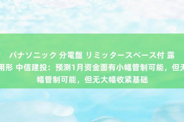 パナソニック 分電盤 リミッタースペース付 露出・半埋込両用形 中信建投：预测1月资金面有小幅管制可能，但无大幅收紧基础