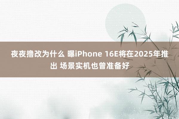 夜夜撸改为什么 曝iPhone 16E将在2025年推出 场景实机也曾准备好