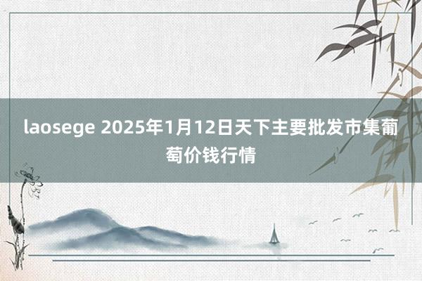 laosege 2025年1月12日天下主要批发市集葡萄价钱行情