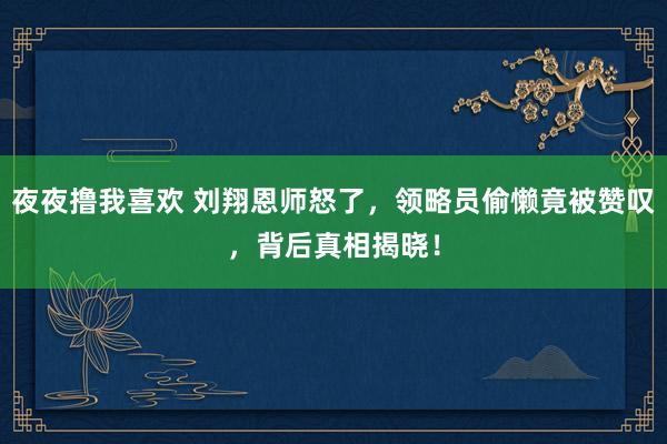 夜夜撸我喜欢 刘翔恩师怒了，领略员偷懒竟被赞叹，背后真相揭晓！