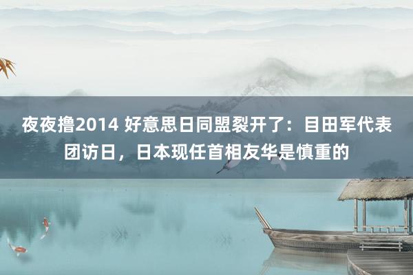 夜夜撸2014 好意思日同盟裂开了：目田军代表团访日，日本现任首相友华是慎重的