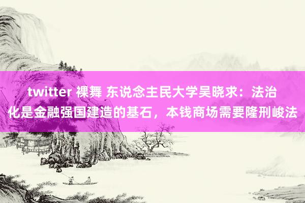 twitter 裸舞 东说念主民大学吴晓求：法治化是金融强国建造的基石，本钱商场需要隆刑峻法